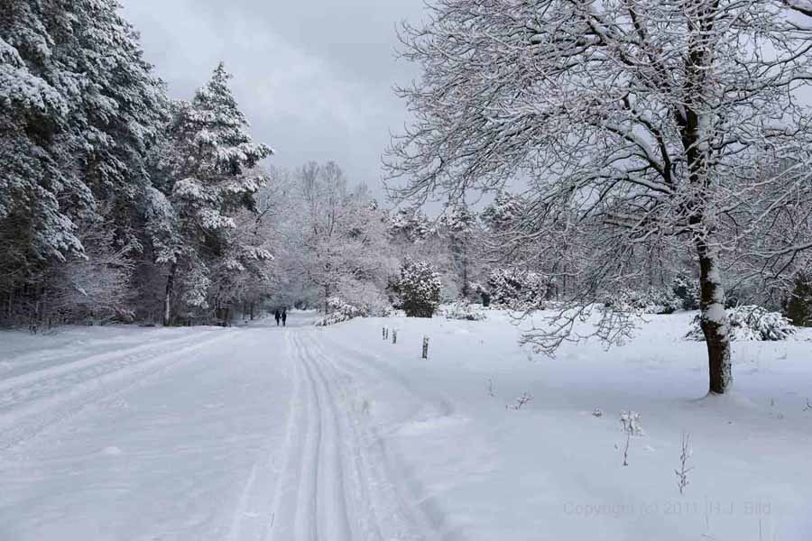Galerie Fotos Lueneburger Heide Im Winter Fotografien Von Der Luneburger Heide Im Winter