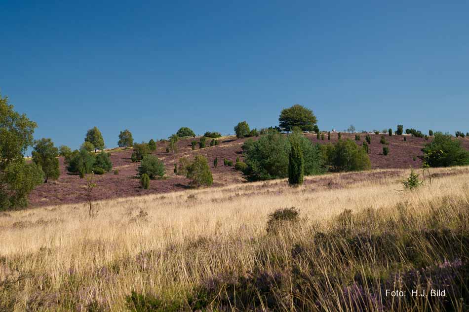 Lüneburger Heide rund um Wilsede