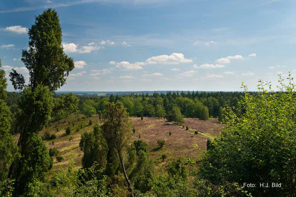 Lüneburger Heide rund um Wilsede