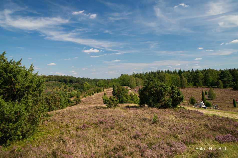 Lüneburger Heide rund um Wilsede