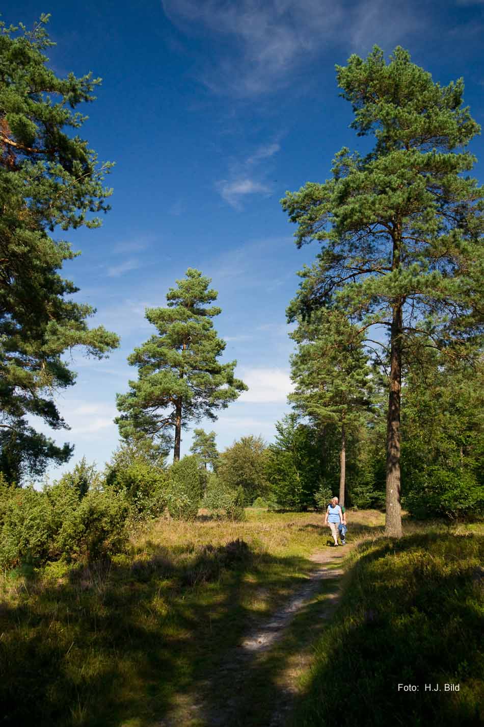 Lüneburger Heide rund um Wilsede