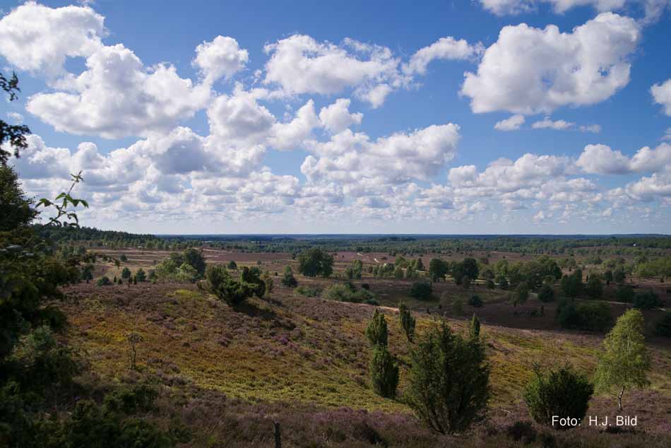 Lüneburger Heide rund um Wilsede