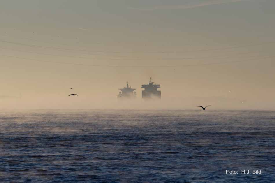 Morgentliche Nebelschleier