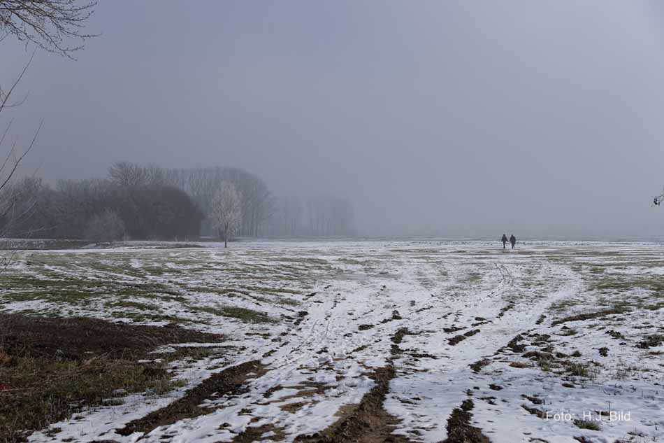 Morgentliche Nebelschleier