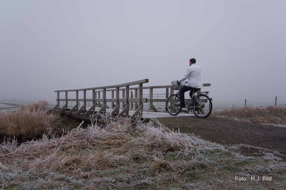 Morgentliche Nebelschleier