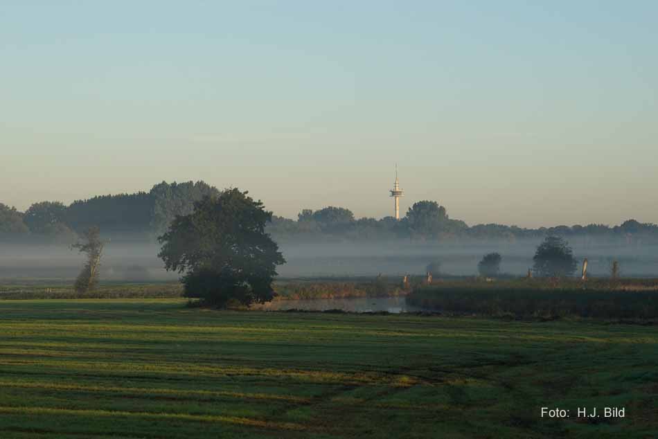 Morgentliche Nebelschleier