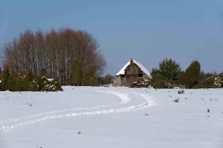 Fotos von der Lüneburger Heide im Winter