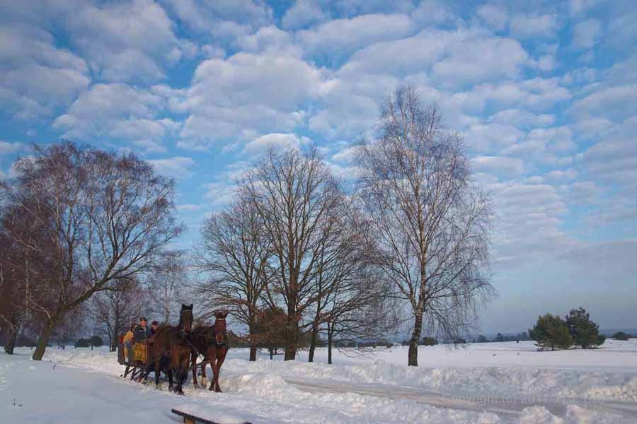 Fotografien von der Lüneburger Heide im Winter