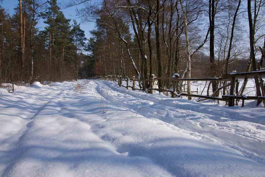 Fotografien von der Lüneburger Heide im Winter
