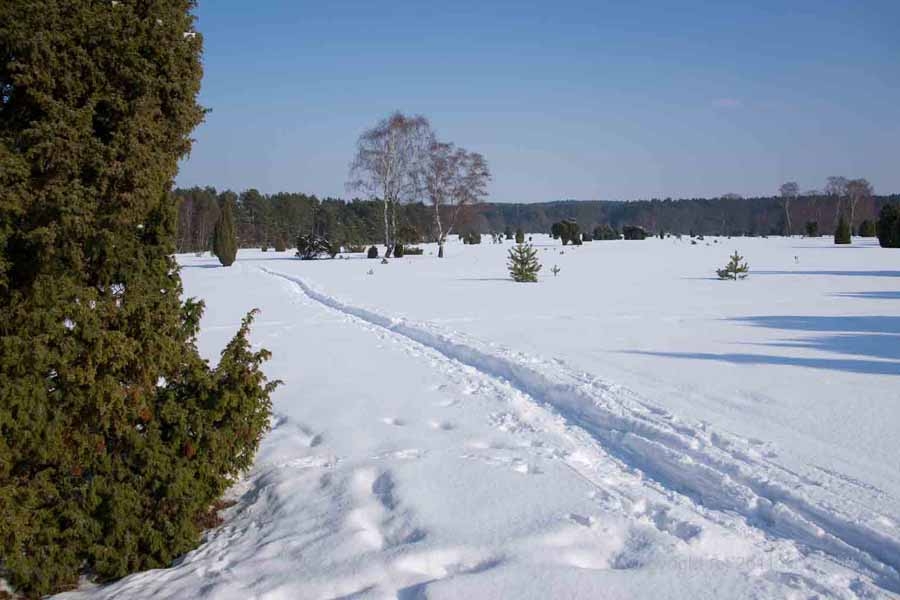 Fotos von der Lüneburger Heide im Winter