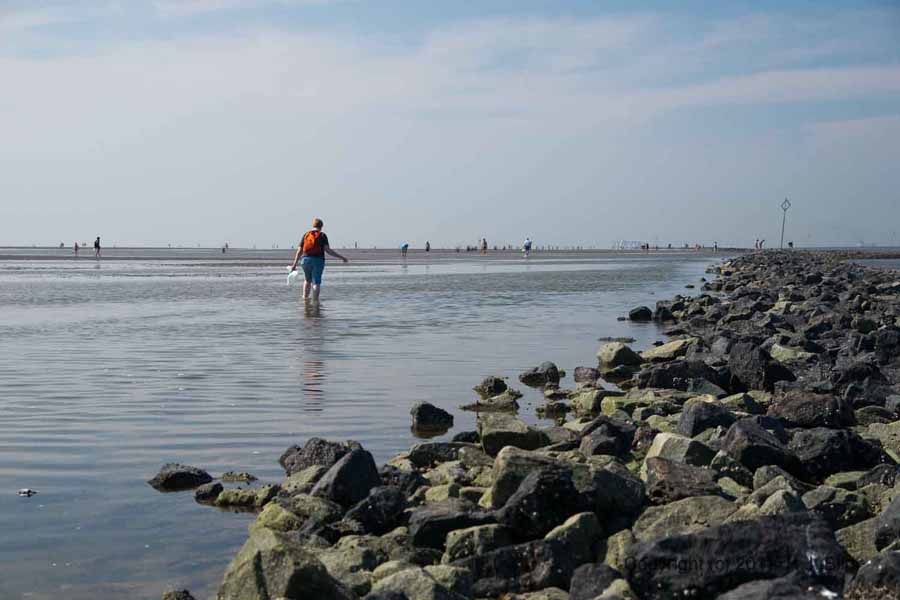 Fotos vom Cuxhavener-Wattenmeer
