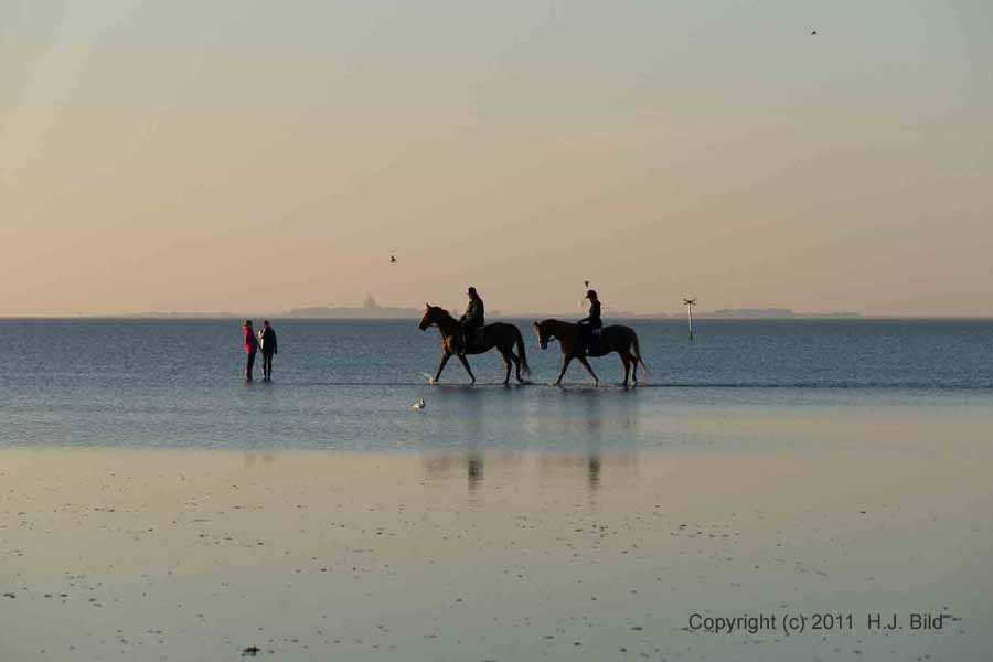 Fotos vom Cuxhavener-Wattenmeer