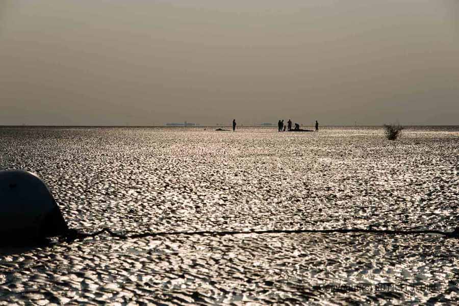 Fotos vom Cuxhavener-Wattenmeer