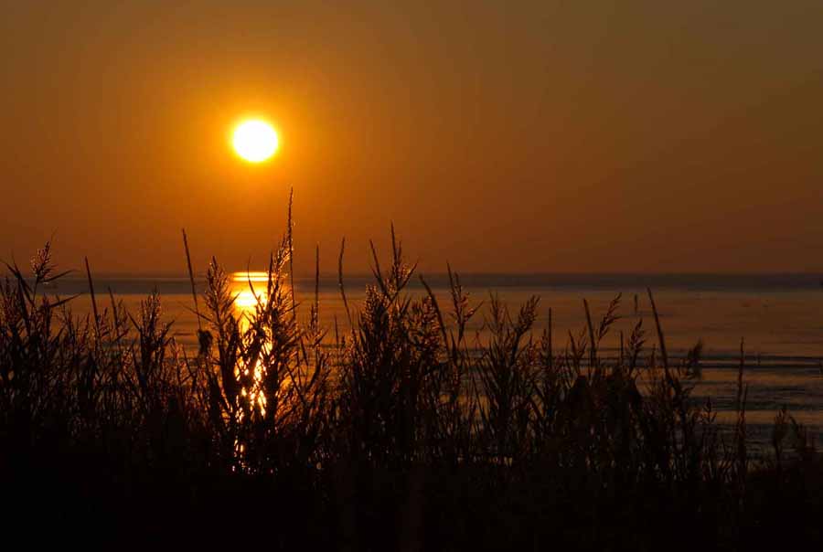 Cuxhavener Wattenmeer