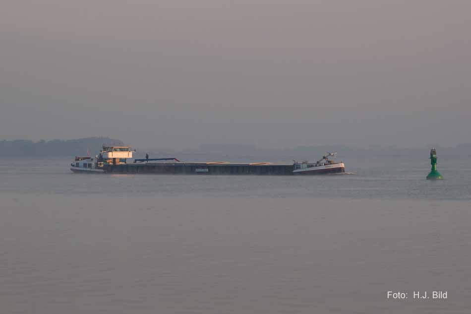 Schiffsverkehr auf der Nieder-Elbe