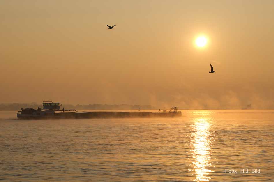Schiffsverkehr auf der Nieder-Elbe