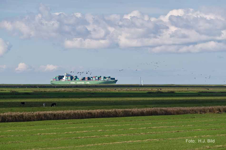 Schiffsverkehr auf der Nieder-Elbe