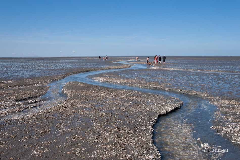 Wattwanderung nach Neuwerk