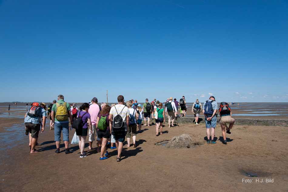 Wattwanderung nach Neuwerk