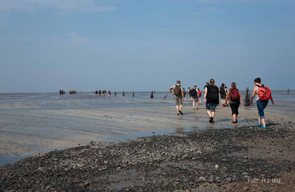 Wattwanderung nach Neuwerk