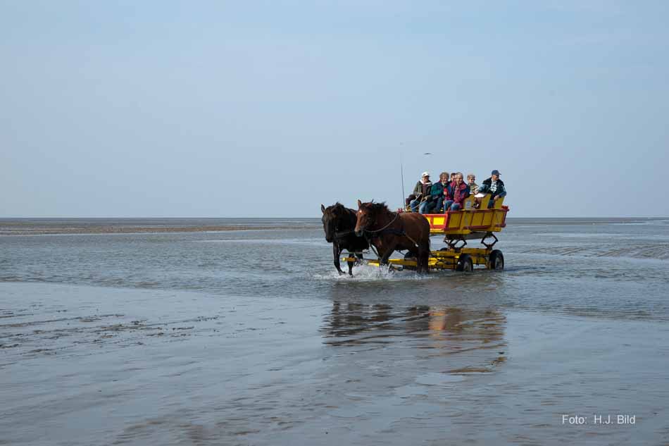 Wattwanderung nach Neuwerk
