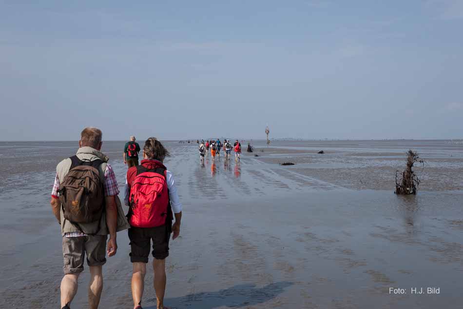 Wattwanderung nach Neuwerk
