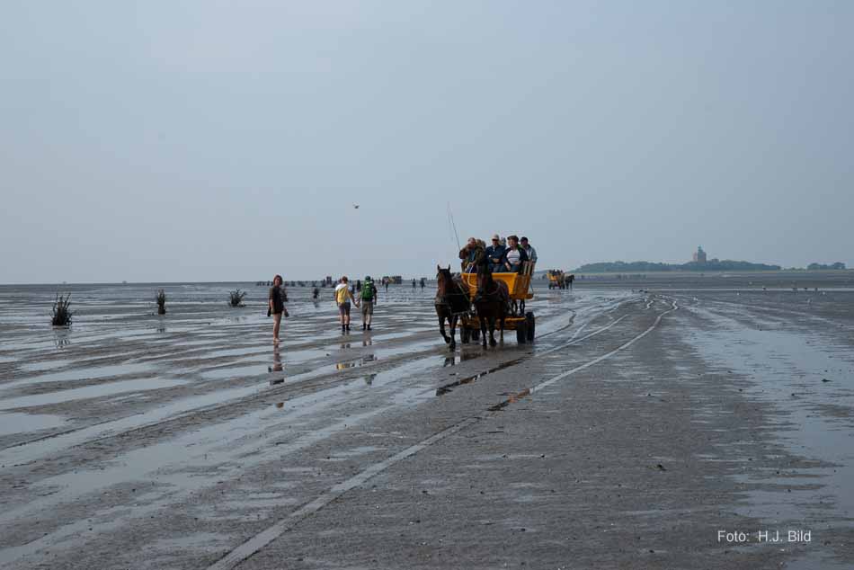 Wattwanderung nach Neuwerk