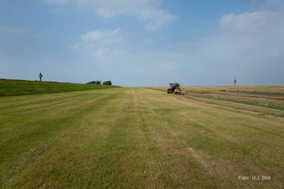Wattwanderung nach Neuwerk