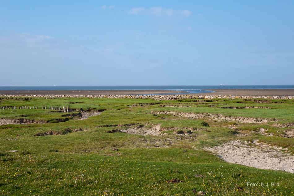 Wattwanderung nach Neuwerk
