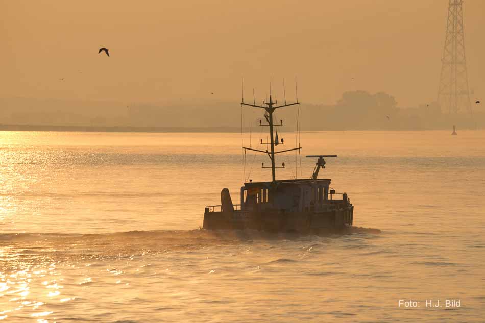 Schiffsverkehr auf der Nieder-Elbe