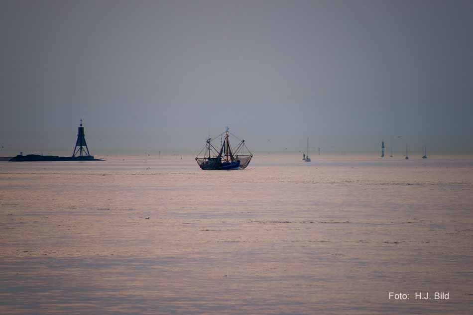 Schiffsverkehr auf der Nieder-Elbe