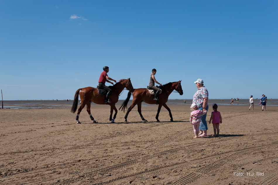 Wattwanderung nach Neuwerk