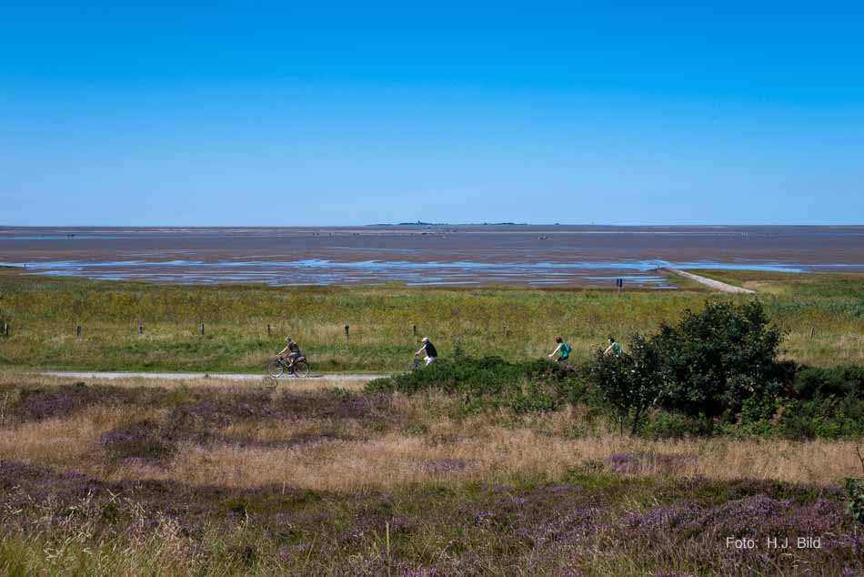 Wattwanderung nach Neuwerk