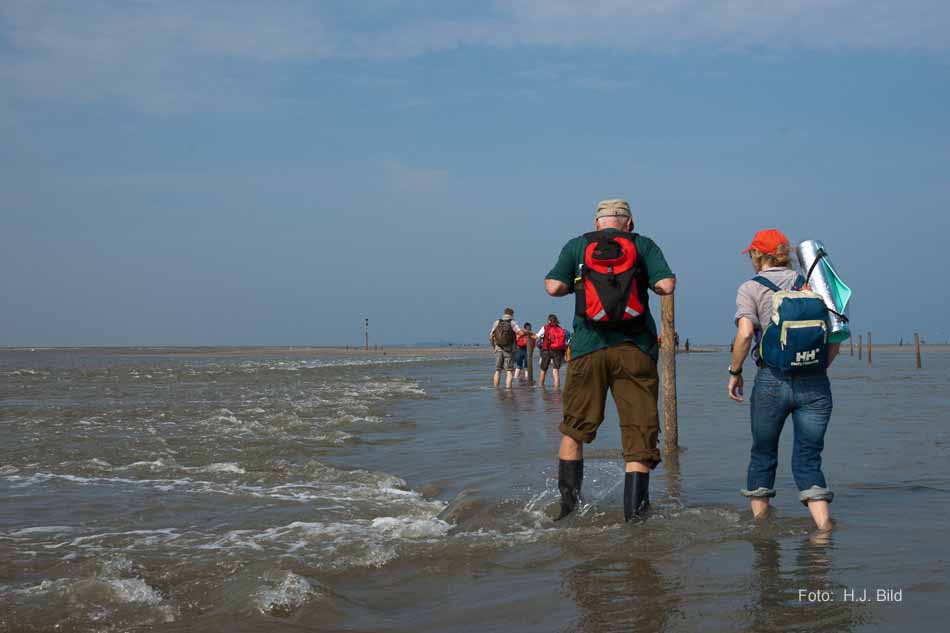 Wattwanderung nach Neuwerk