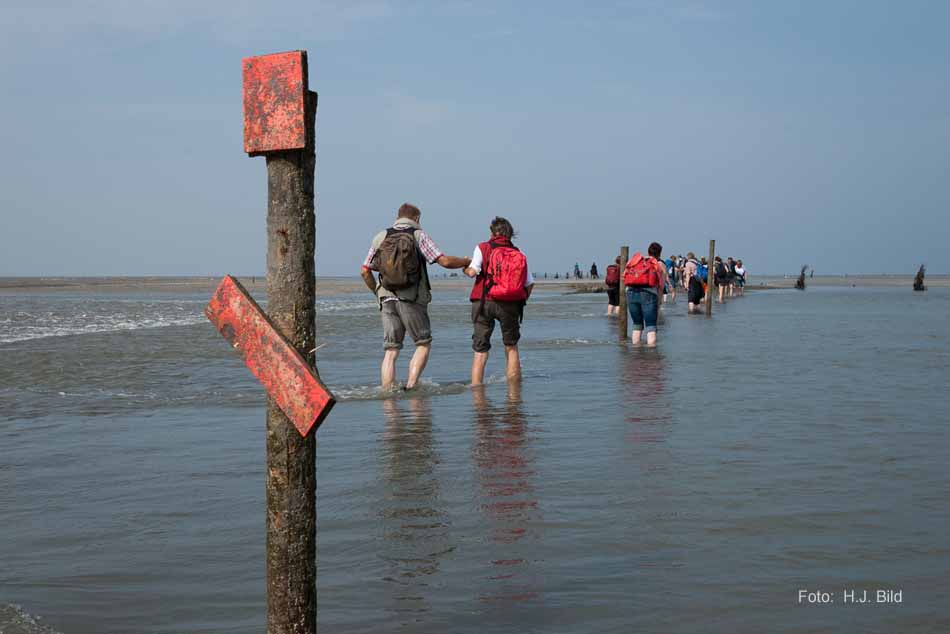 Wattwanderung nach Neuwerk