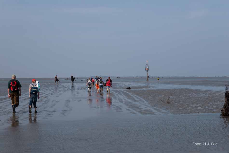 Wattwanderung nach Neuwerk